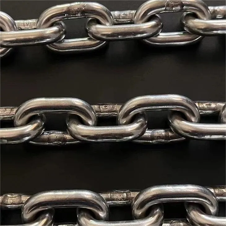 Rostfri stålkedja på fjäderfäslakt hängd transportlinje